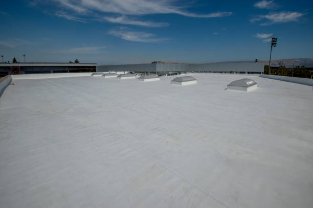 Best Metal Roofing Installation  in Marcellus, MI