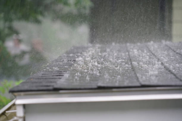 Best Roof Coating Services  in Marcellus, MI